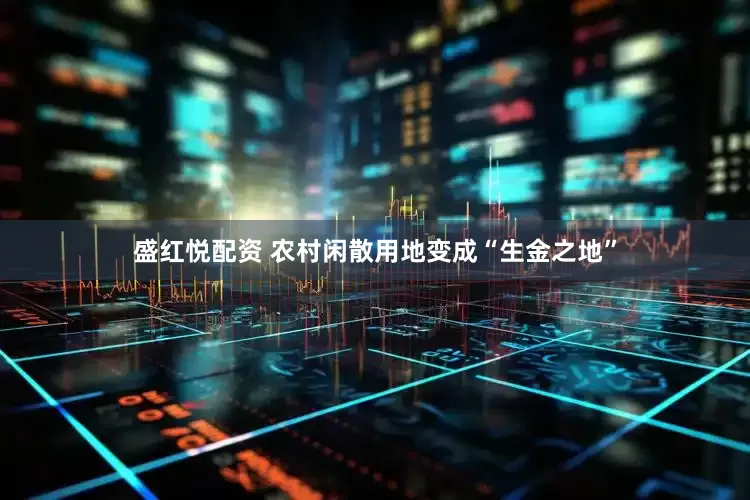 盛红悦配资 农村闲散用地变成“生金之地”